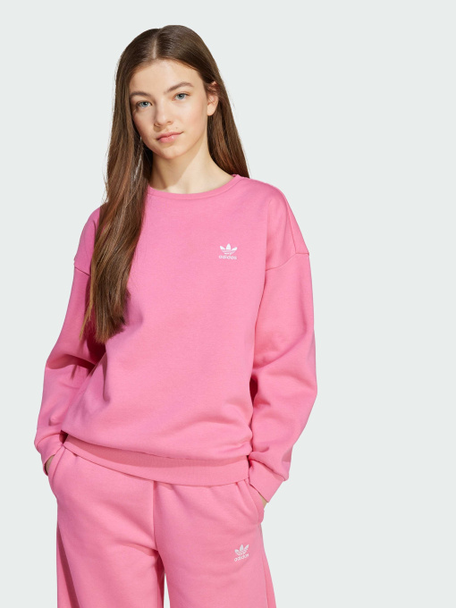 Худи и свитшоты Adidas модель JX2749 Фото