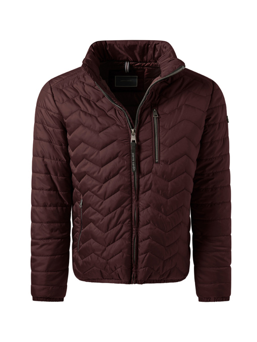 Куртки и дубленки Pierre Cardin модель C8 10172.0090.4313 Фото