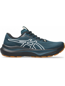 Кроссовки Asics Gt-2000 14 tr модель 1011C129-300 Фото