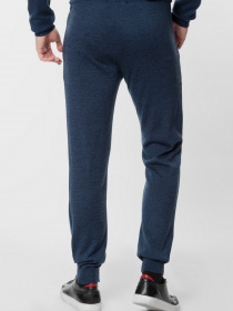 Штани Arber модель GO26.32.30 Фото