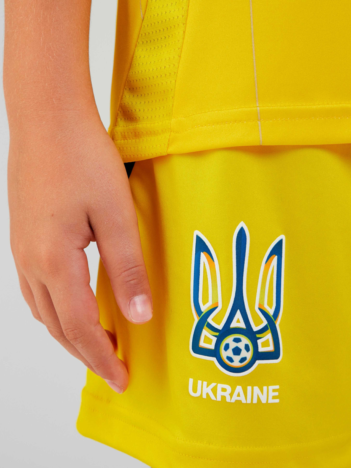 Шорти Adidas модель IP2185 Фото