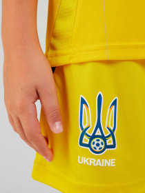 Шорти Adidas модель IP2185 Фото