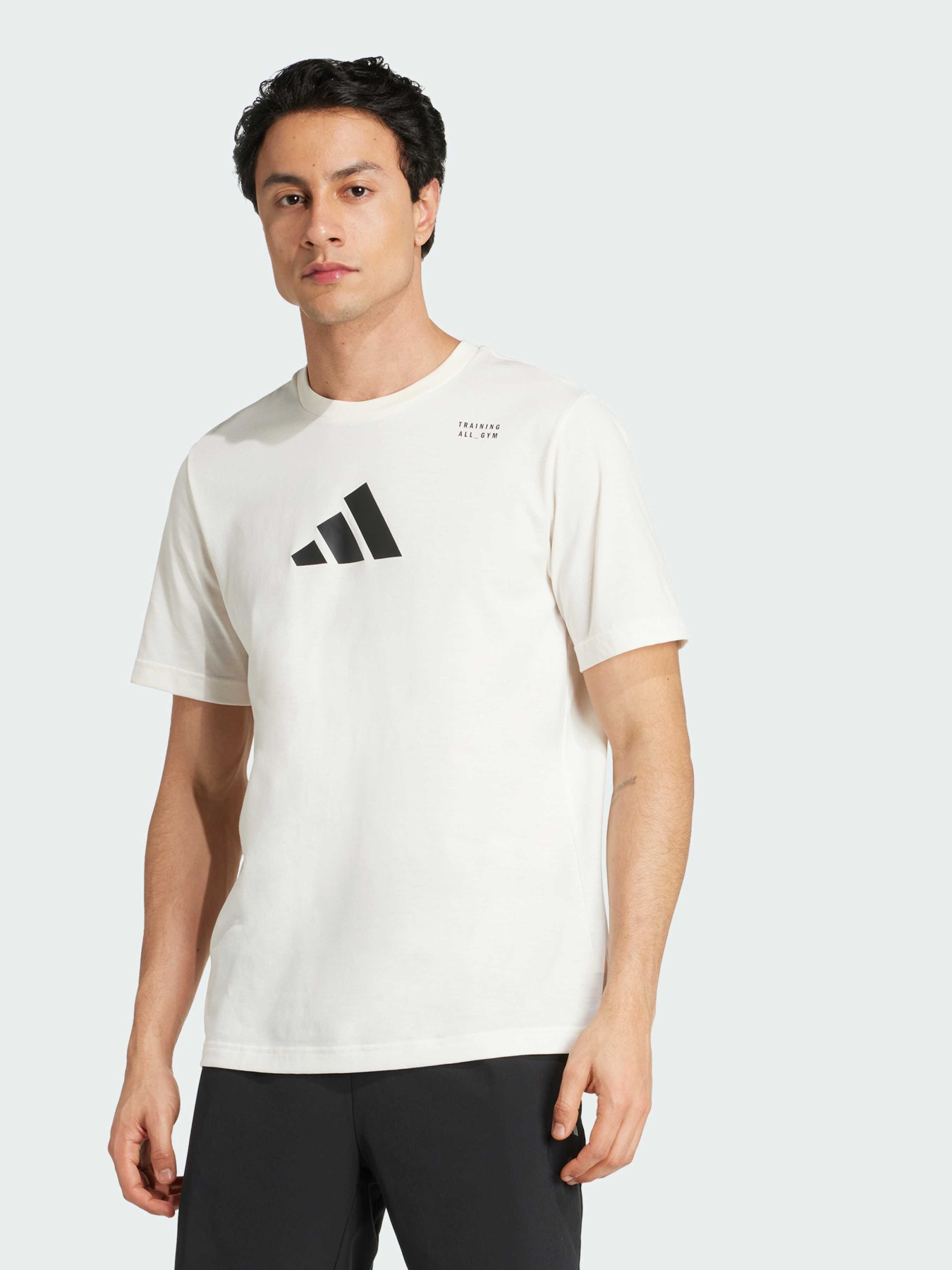 Футболки і поло Adidas модель JM8976 Футболки і поло Adidas модель JM8976 Фото