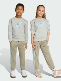 Костюми Adidas модель JV7951 Фото