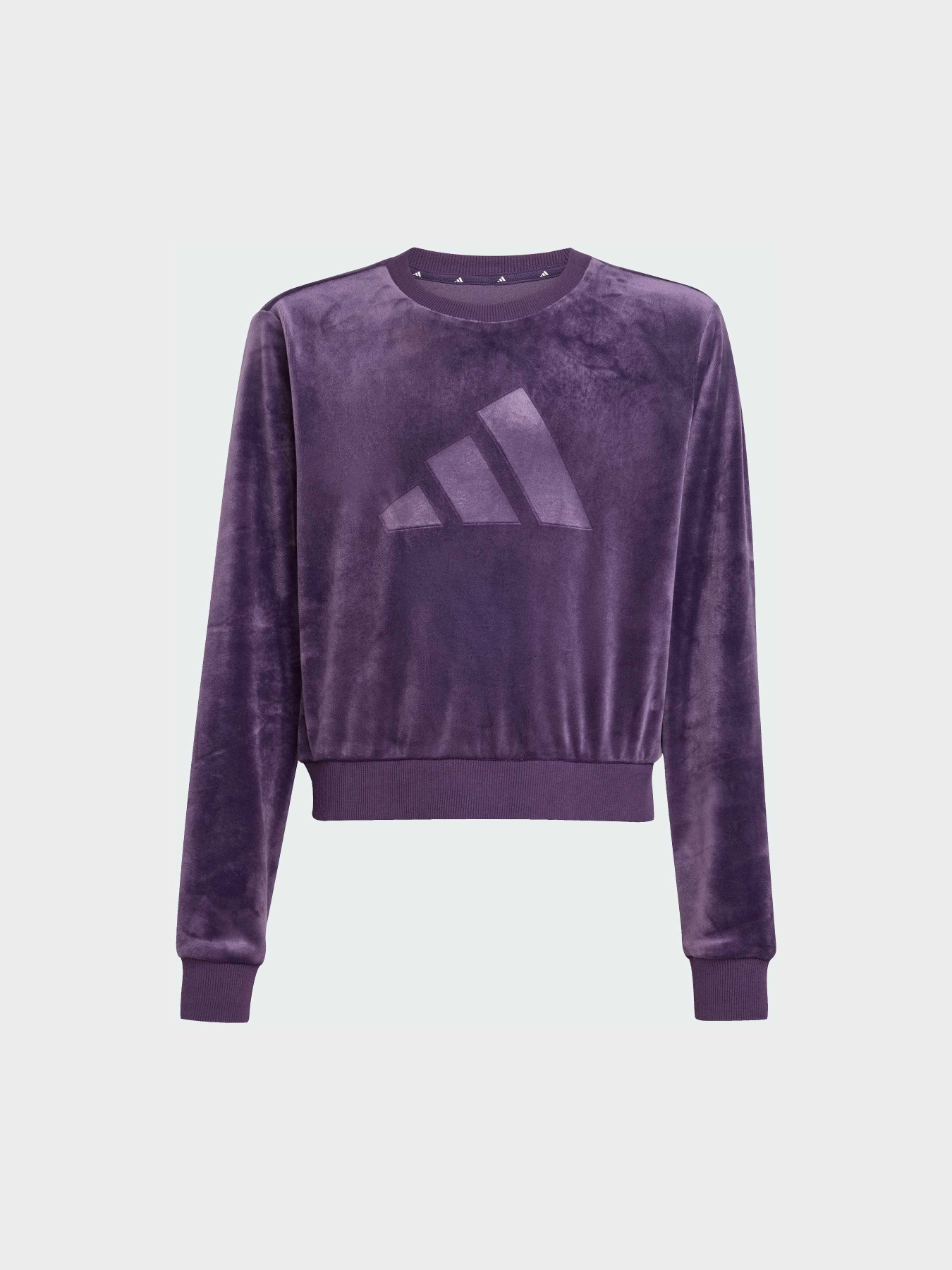 Худі та світшоти Adidas модель JW2437 Фото