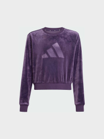 Худі та світшоти Adidas модель JW2437 Фото
