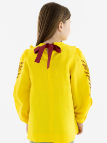 Вышиванки Folk Moda модель fm3027-zhovtij Фото