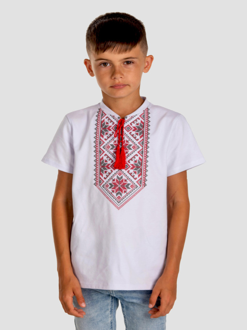 Вишиванки Folk Moda модель fm2829-blij Фото