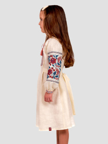 Вишиванки Folk Moda модель fm2546-vershkovij Фото