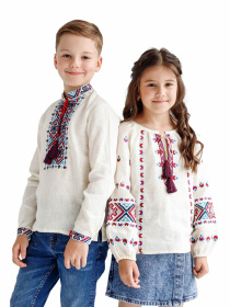 Вишиванки Folk Moda модель fm2090-vershkovij Фото