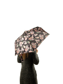 Парасольки Fulton Umbrellas Tiny-2 модель L501-039724 Фото