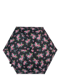 Парасольки Fulton Umbrellas Superslim-2 модель L553-038826 Фото