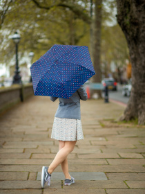Парасольки Fulton Umbrellas Superslim-2 модель L553-041239 Фото