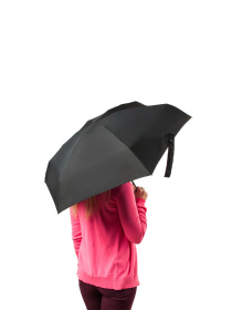 Парасольки Fulton Umbrellas Soho-1 модель L793-031094 Фото