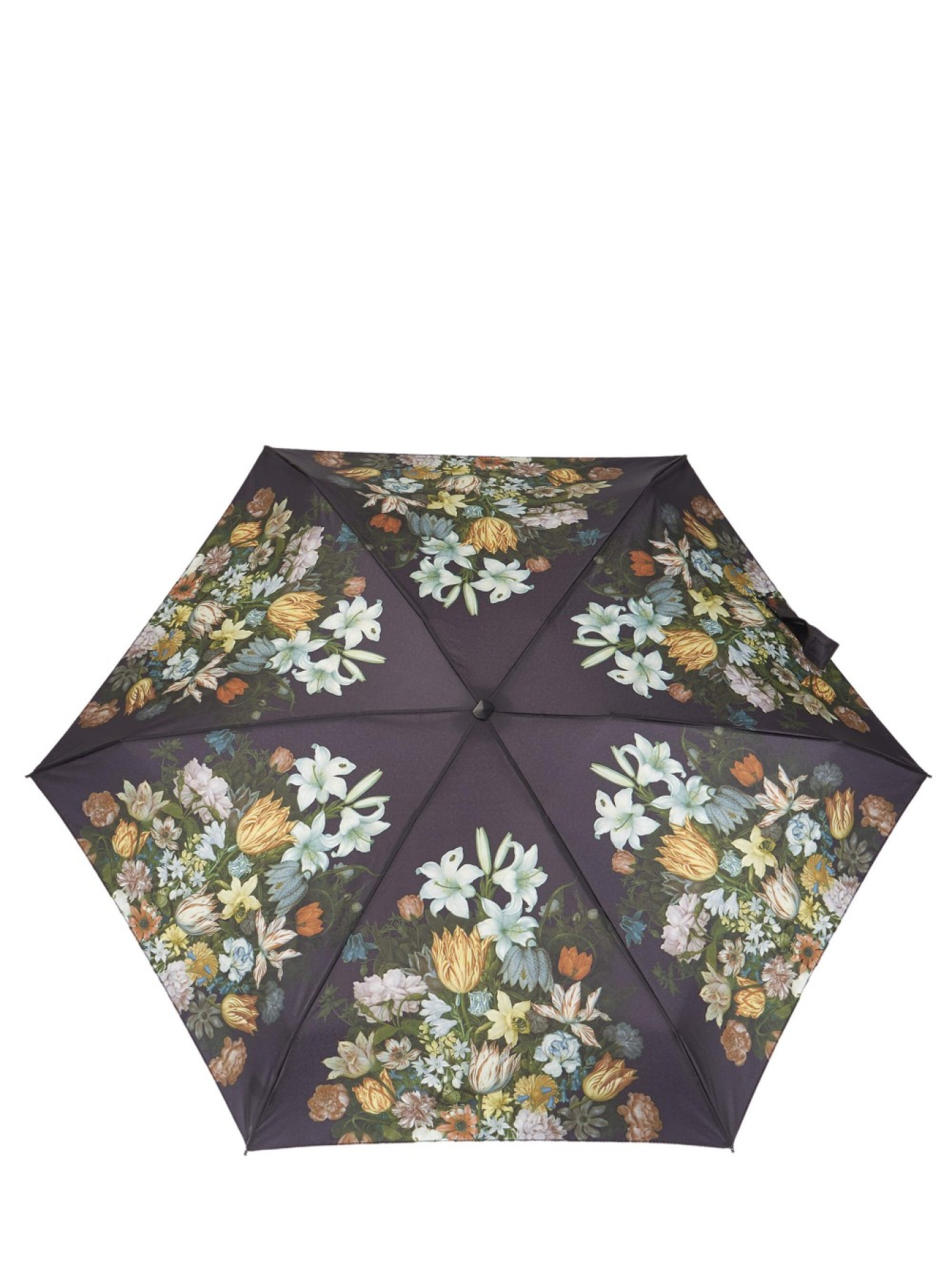 Зонты Fulton Umbrellas The National Gallery Tiny-2 модель L794-085297 Зонты Fulton Umbrellas The National Gallery Tiny-2 модель L794-085297 Фото
