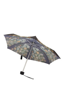Зонты Fulton Umbrellas The National Gallery Tiny-2 модель L794-085297 Фото