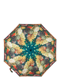 Парасольки Fulton Umbrellas The National Gallery Minilite-2 модель L849-034552 Фото