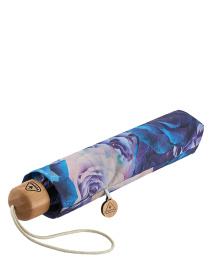 Парасольки Fulton Umbrellas Eco Planet модель L905-039540 Фото