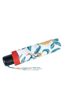 Парасольки Fulton Umbrellas Minilite-2 модель L907-040447 Фото