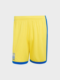 Шорты Adidas модель JZ4625 Фото