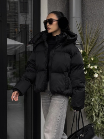 Куртки и дубленки Jadone Fashion модель Pufi_chor Фото