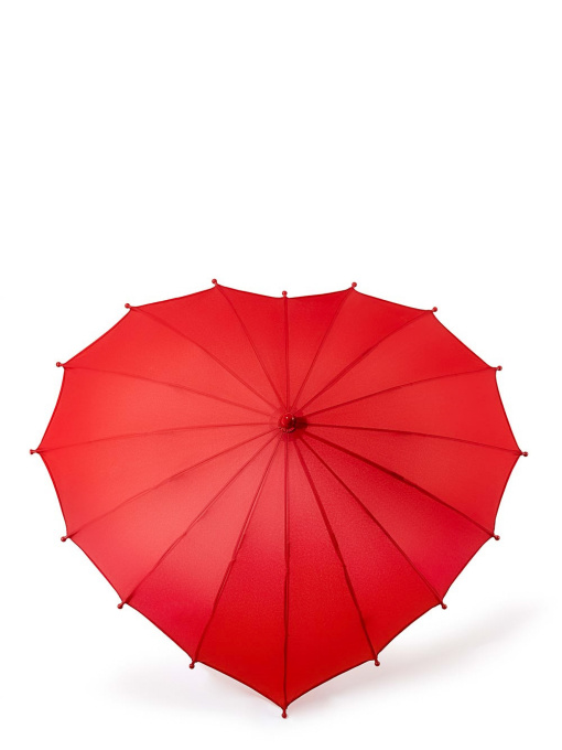 Зонты Fulton Umbrellas Junior модель C913-039786 Фото
