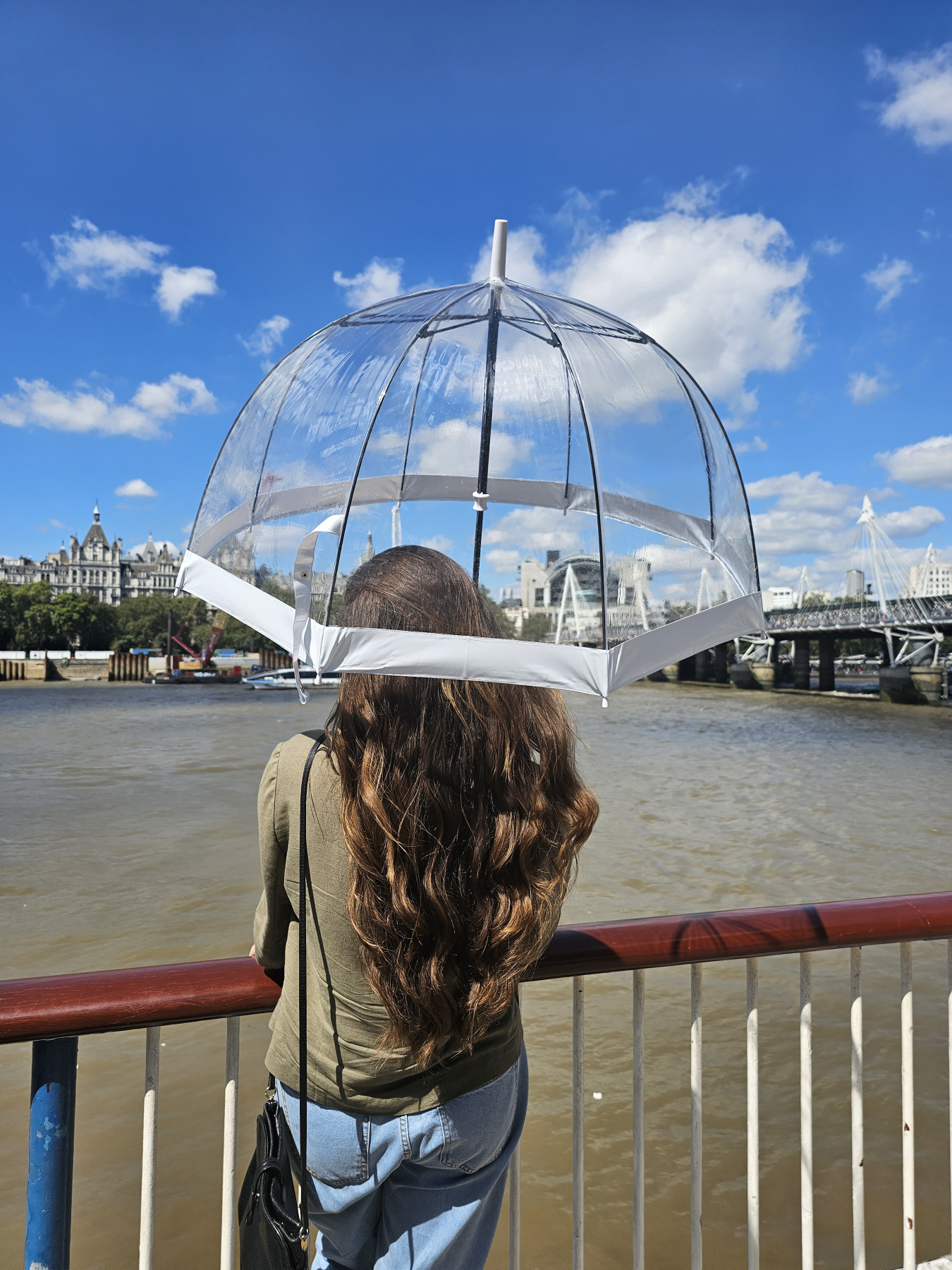 Зонты Fulton Umbrellas Birdcage-1 модель L041-015582 Зонты Fulton Umbrellas Birdcage-1 модель L041-015582 Фото