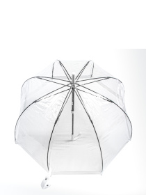 Зонты Fulton Umbrellas Birdcage-1 модель L041-015582 Фото