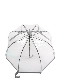 Парасольки Fulton Umbrellas Birdcage-1 модель L041-015599 Фото