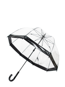 Зонты Fulton Umbrellas Birdcage-1 модель L041-015605 Фото