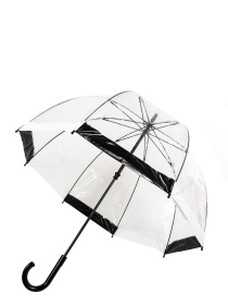Парасольки Fulton Umbrellas Birdcage-1 модель L041-015865 Фото