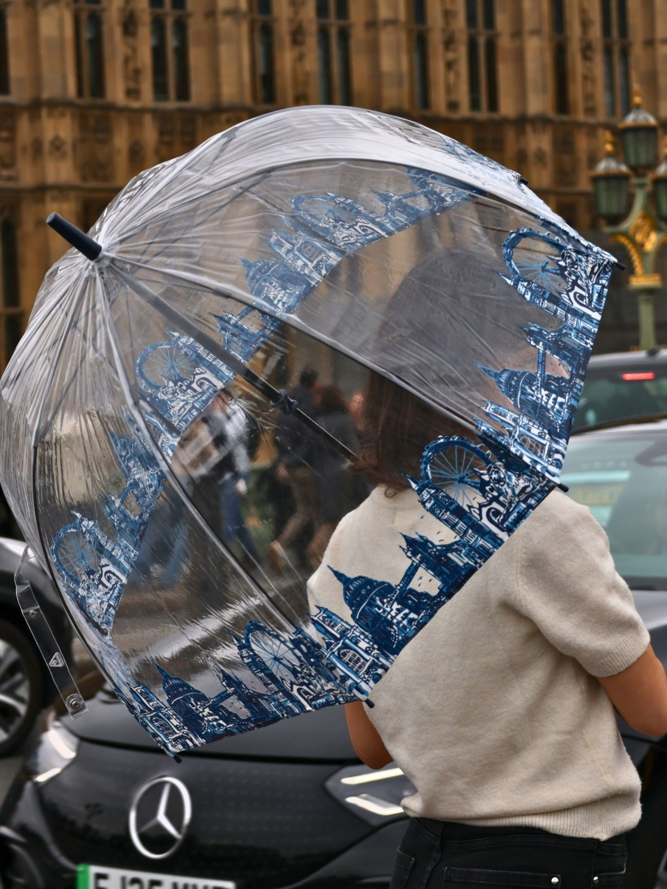 Парасольки Fulton Umbrellas Birdcage-2 модель L042-028292 Фото