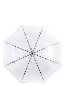 Парасольки Fulton Umbrellas Birdcage-2 модель L042-028292 Фото