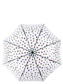 Зонты Fulton Umbrellas Birdcage-2 модель L042-033623 Фото