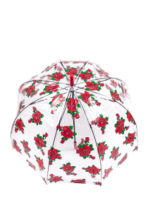 Зонты Fulton Umbrellas Birdcage-2 модель L042-035023 Фото