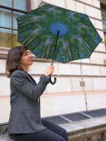 Парасольки Fulton Umbrellas Bloomsbury-2 модель L754-036600 Фото