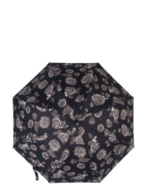 Парасольки Fulton Umbrellas Bloomsbury-2 модель L754-040553 Фото