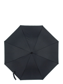 Парасольки Fulton Umbrellas Bloomsbury-2 модель L754-041000 Фото