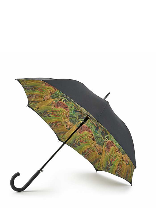 Парасольки Fulton Umbrellas Bloomsbery-2 модель L847-038468 Фото
