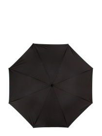Парасольки Fulton Umbrellas Bloomsbery-2 модель L847-038468 Фото