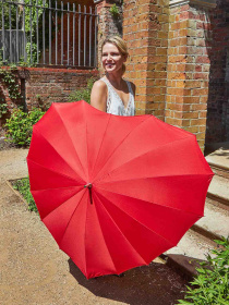 Парасольки Fulton Umbrellas Walker-1 модель L909-039525 Фото