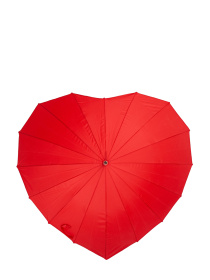 Парасольки Fulton Umbrellas Walker-1 модель L909-039525 Фото