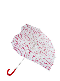 Парасольки Fulton Umbrellas Walker-1 модель L909-041031 Фото