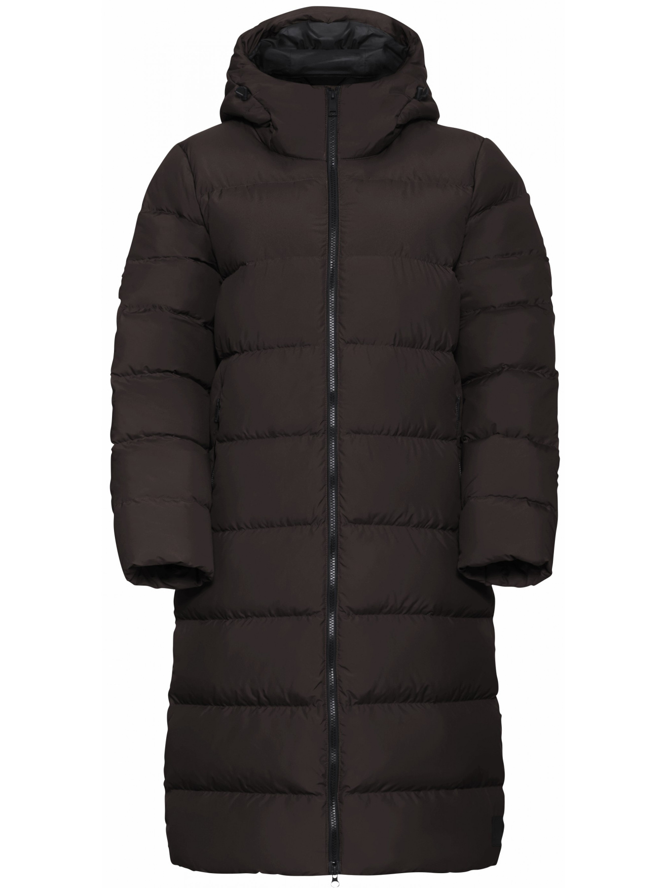 Куртки и дубленки Jack Wolfskin Frozen palace coat w rds модель 1204133_D0108 Фото
