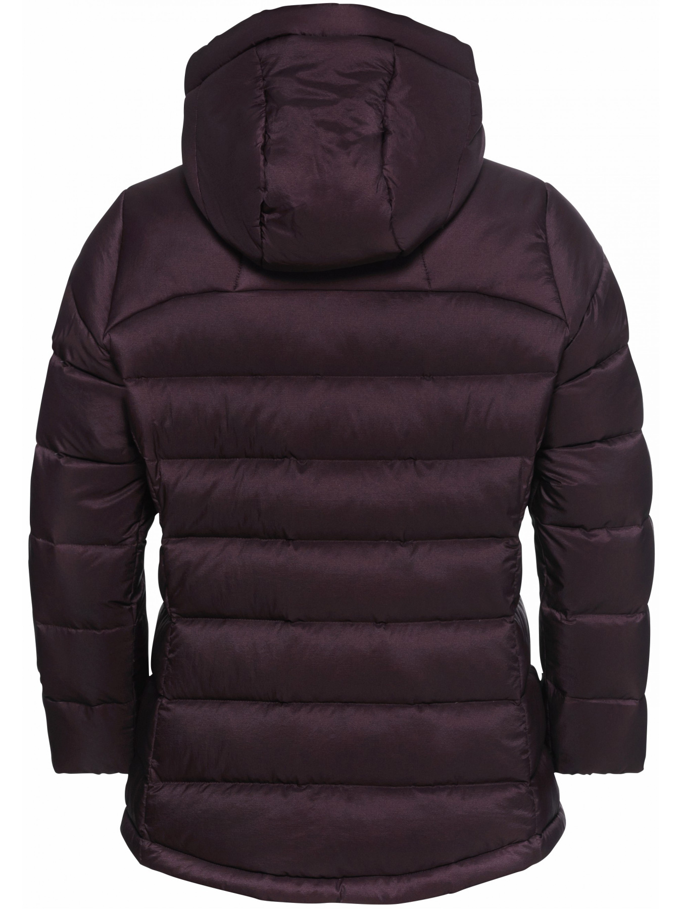 Куртки и дубленки Jack Wolfskin Nebelhorn down hoody w rds модель A61829_I0116 Фото