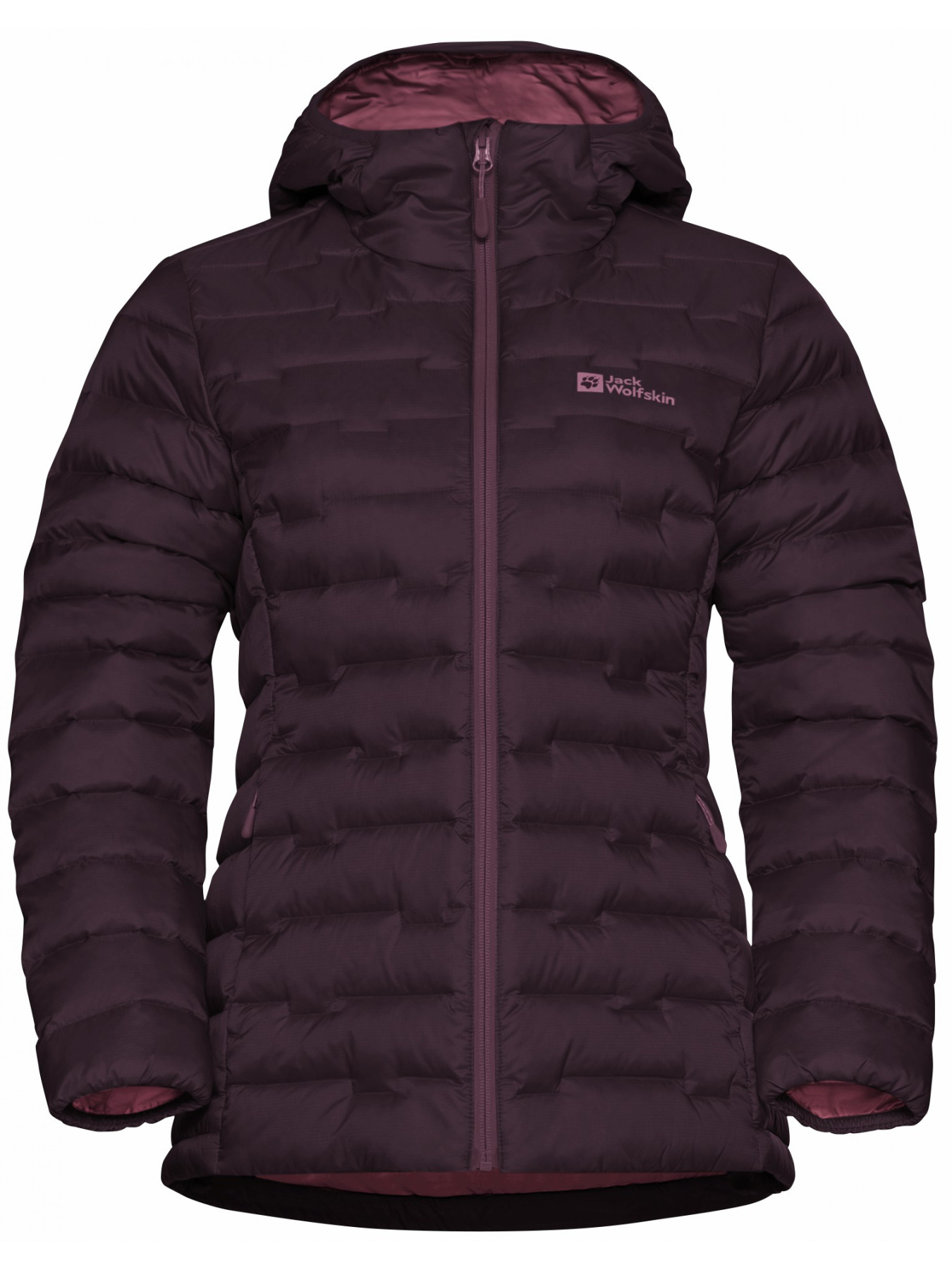 Куртки и дубленки Jack Wolfskin Passamani down hoody w rds модель A61833_I0116 Фото
