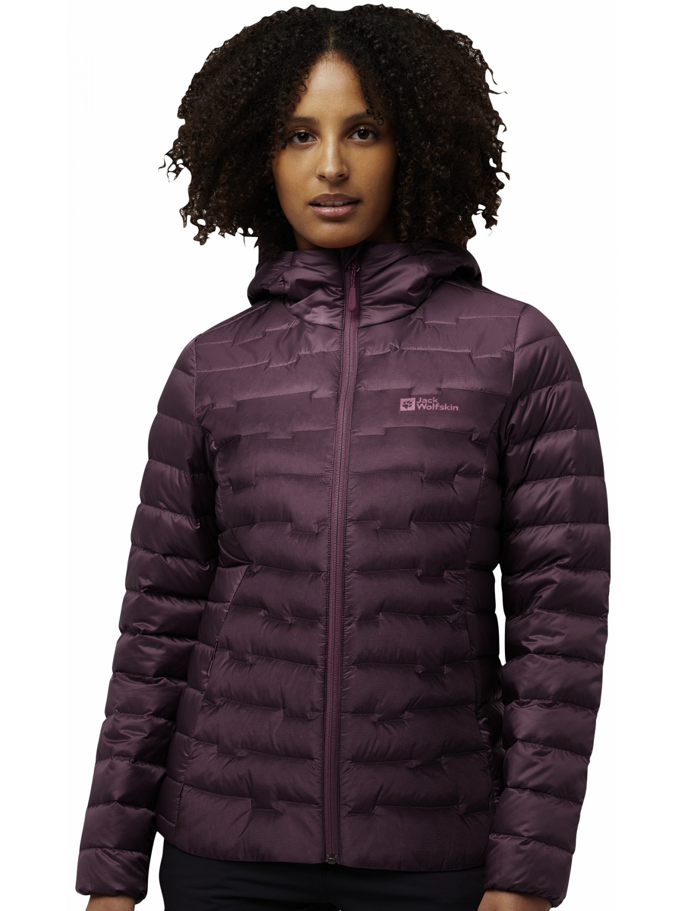 Куртки и дубленки Jack Wolfskin Passamani down hoody w rds модель A61833_I0116 Фото