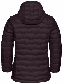 Куртки и дубленки Jack Wolfskin Passamani down hoody w rds модель A61833_I0116 Фото