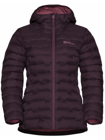 Куртки и дубленки Jack Wolfskin Passamani down hoody w rds модель A61833_I0116 Фото