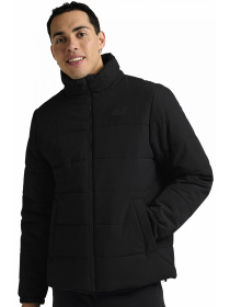 Куртки и дубленки Jack Wolfskin Northern lite jkt m модель A65024_6000 Фото